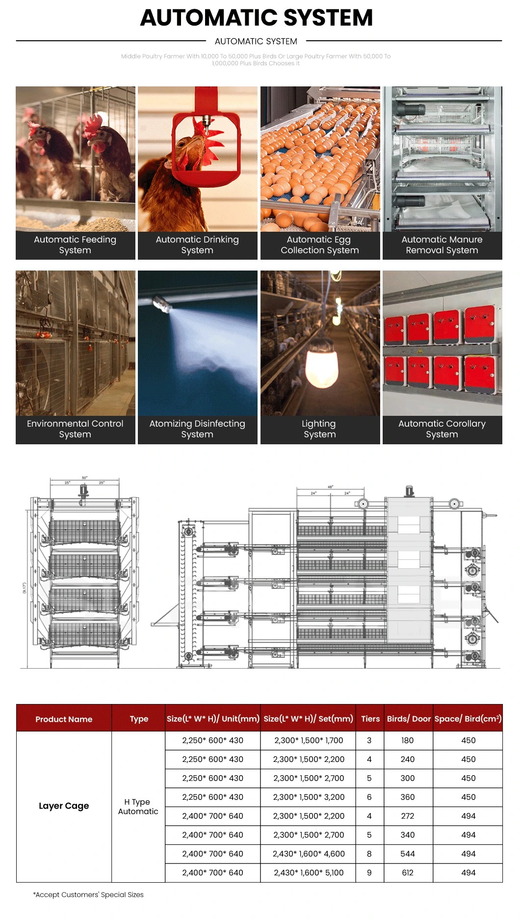 Bestchickencage H Type Layer Cage China Layer Cage Chicken Equipment Factory Free Sample ISO9001: 2008 Certification Layers Cage 20000 Chickens Poultry Farm