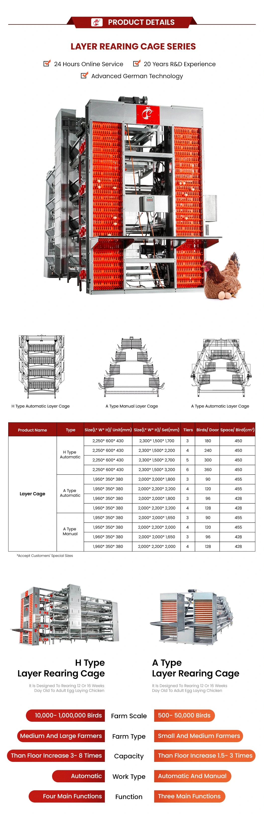 Bestchickencage Ordinary Type Layer Cage China 20 Chickens Large Chicken Layer Coop Factory Windproof Feature Automatic Layer Cages Egg Chicken Poultry Farm