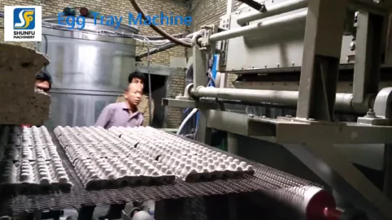 Revestimiento de equipo de máquina de fabricación de huevos de reciclaje de papel usado
