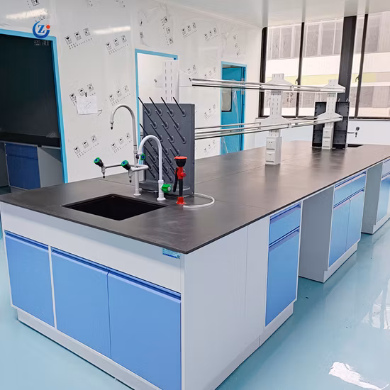 Equipo moderno de alta calidad de los muebles del laboratorio químico de la electrónica para las escuelas